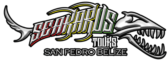 Seakarus Tours — San Pedro, Belize